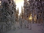 Makkaranpaisto reissu