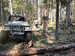 SDC17344