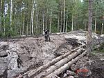 Mankelijutut