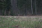 2010 576 [Desktop Resolution]