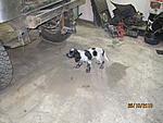 IMG 0445