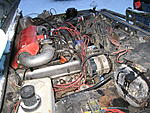 IMG 6476