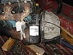 IMG 0019