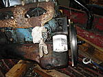 IMG 0015