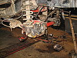 IMG 6484
