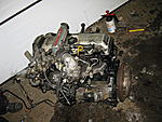IMG 0059