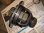 IMG 6534