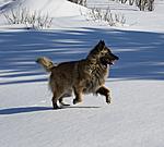 Kuva