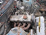 IMG 0116