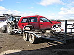 terrano