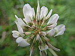 IMGP0026