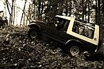 IMG 6110
