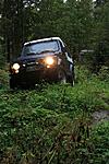 IMG 6013