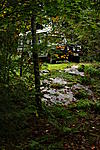 IMG 5952