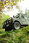 IMG 5981