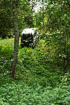IMG 5951