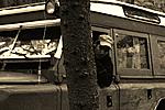 IMG 6116