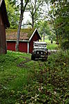 IMG 5942