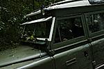 IMG 6094