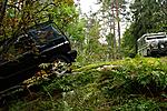 IMG 5976