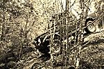 IMG 5965