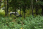 IMG 5945