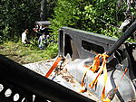 IMG 0105