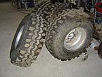 36x12,5 SS TSL