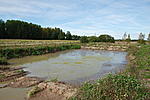 DSC 0411