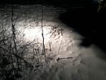 55W halogen