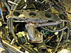 Click image for larger version

Name:	IMG_5402.jpg
Views:	178
Size:	58,2 Kt
ID:	10355