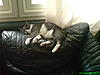 Click image for larger version

Name:	ville sohvalla.jpg
Views:	206
Size:	87,7 Kt
ID:	10616