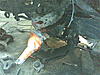 Click image for larger version

Name:	04042010_003_.jpg
Views:	931
Size:	95,1 Kt
ID:	11786