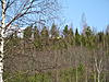 Click image for larger version

Name:	offikisa 058.jpg
Views:	224
Size:	97,7 Kt
ID:	1645