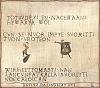 Click image for larger version

Name:	Noccaloicca.jpg
Views:	634
Size:	130,3 Kt
ID:	60675