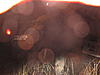 Click image for larger version

Name:	filnland trophy 09 034.jpg
Views:	322
Size:	97,9 Kt
ID:	8258