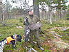 Click image for larger version

Name:	lappi2011 003.jpg‎
Views:	187
Size:	69,3 Kt
ID:	21667