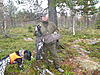 Click image for larger version

Name:	lappi2011 003.jpg‎
Views:	188
Size:	69,3 Kt
ID:	21667