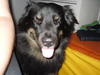 vesseli's Profile Picture