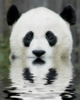 VonBitch's Profile Picture