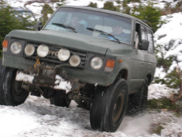 IMG 0210