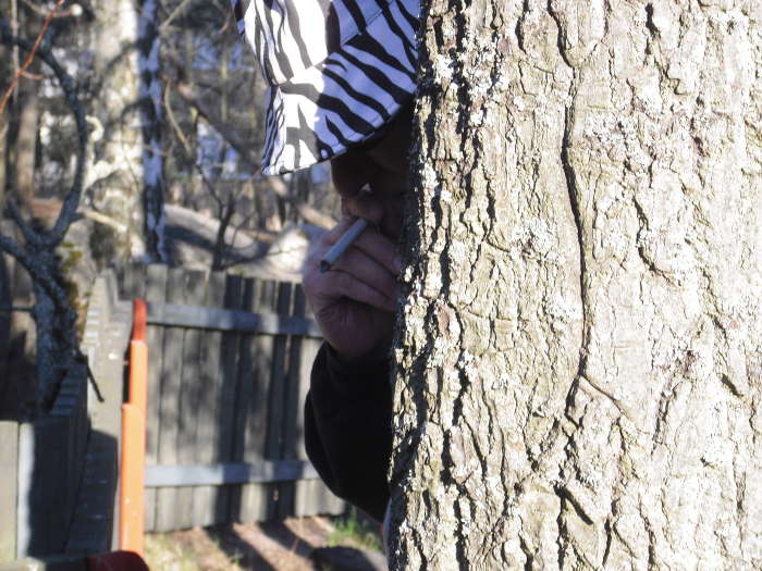 Satan666 Belsebub Lucifer?