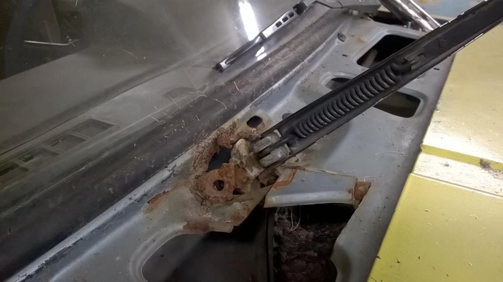 WP 20160226 21 25 14 Pro