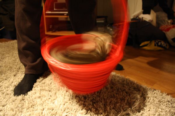 Kissa saa karusellikyyti korissa