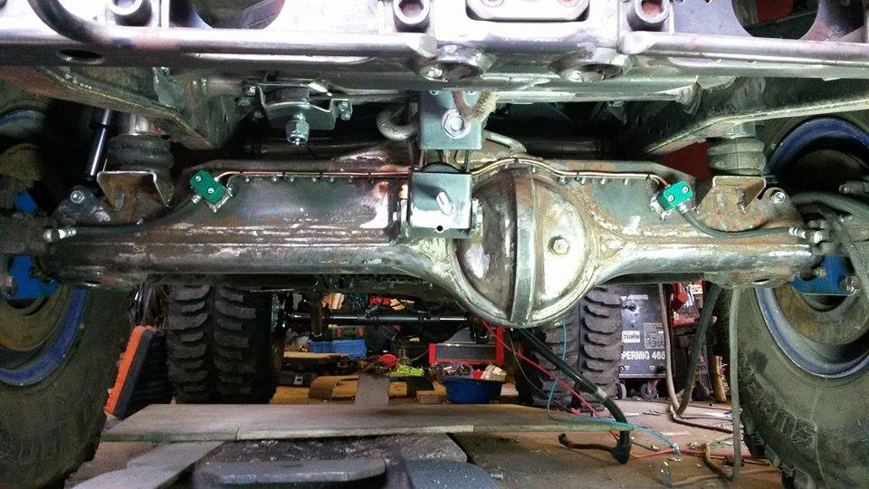 11748584 1151984234828728 1908655661 n