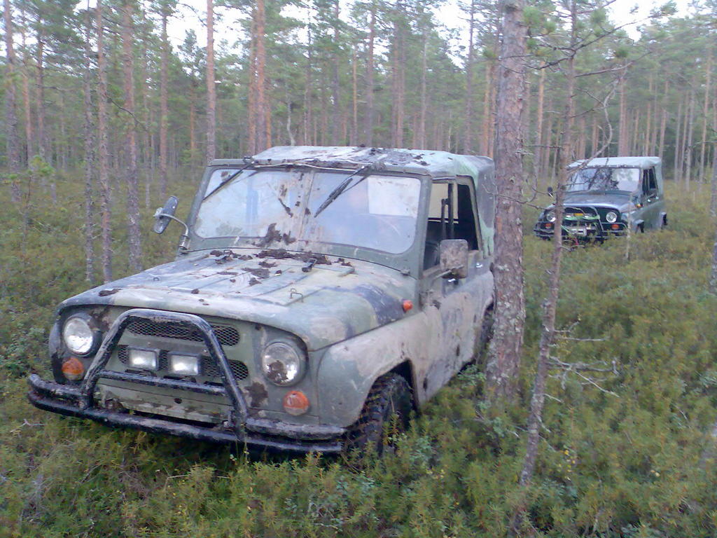 suo reitill min ja zau