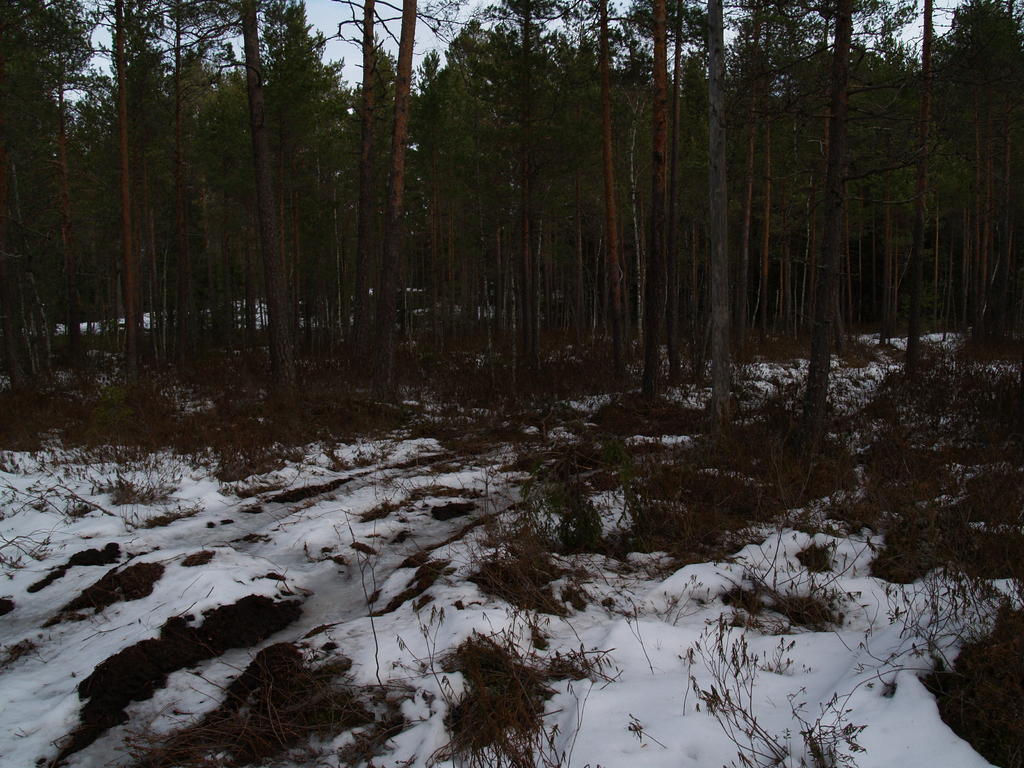P1014934