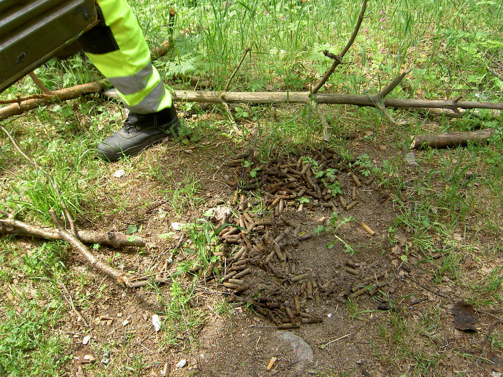 PICT4816  jnnyt pikkusen hylsyj varisniemeen