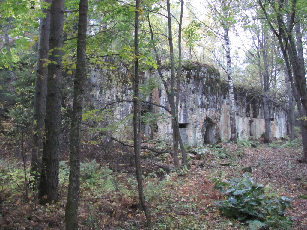 turkinsaari linnoitus 2010