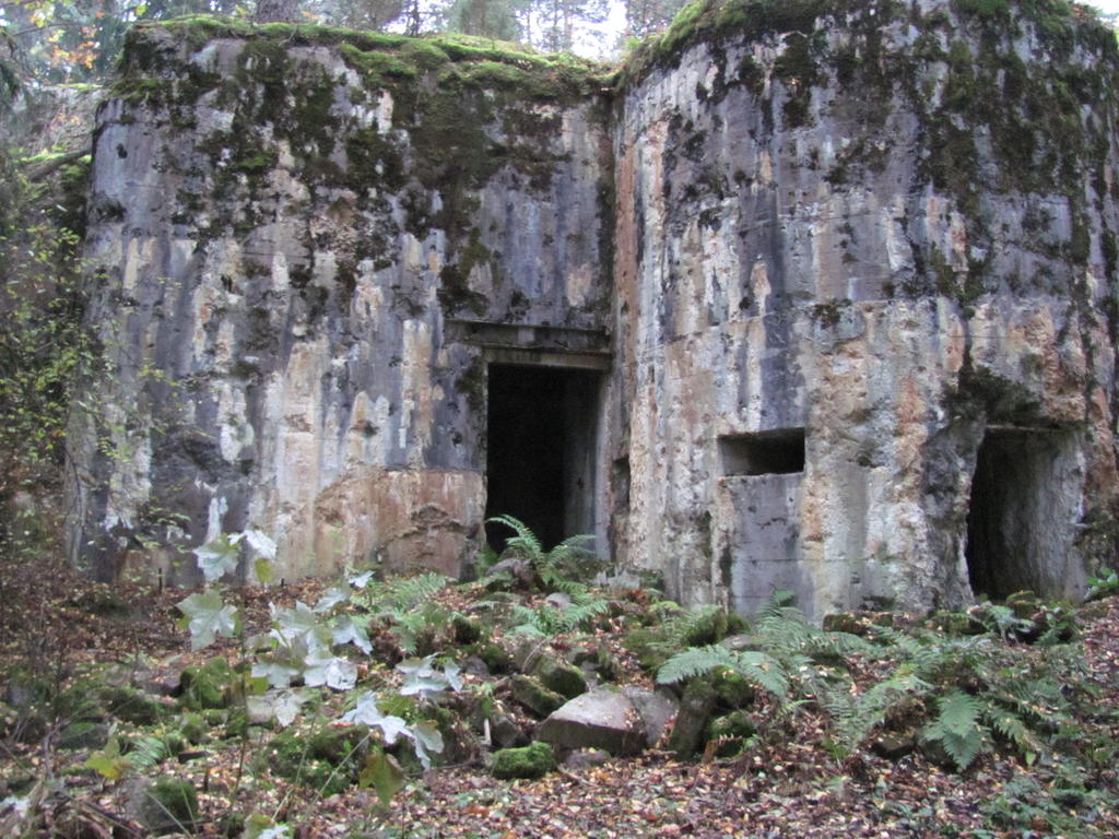 turkinsaari linnoitus 2010